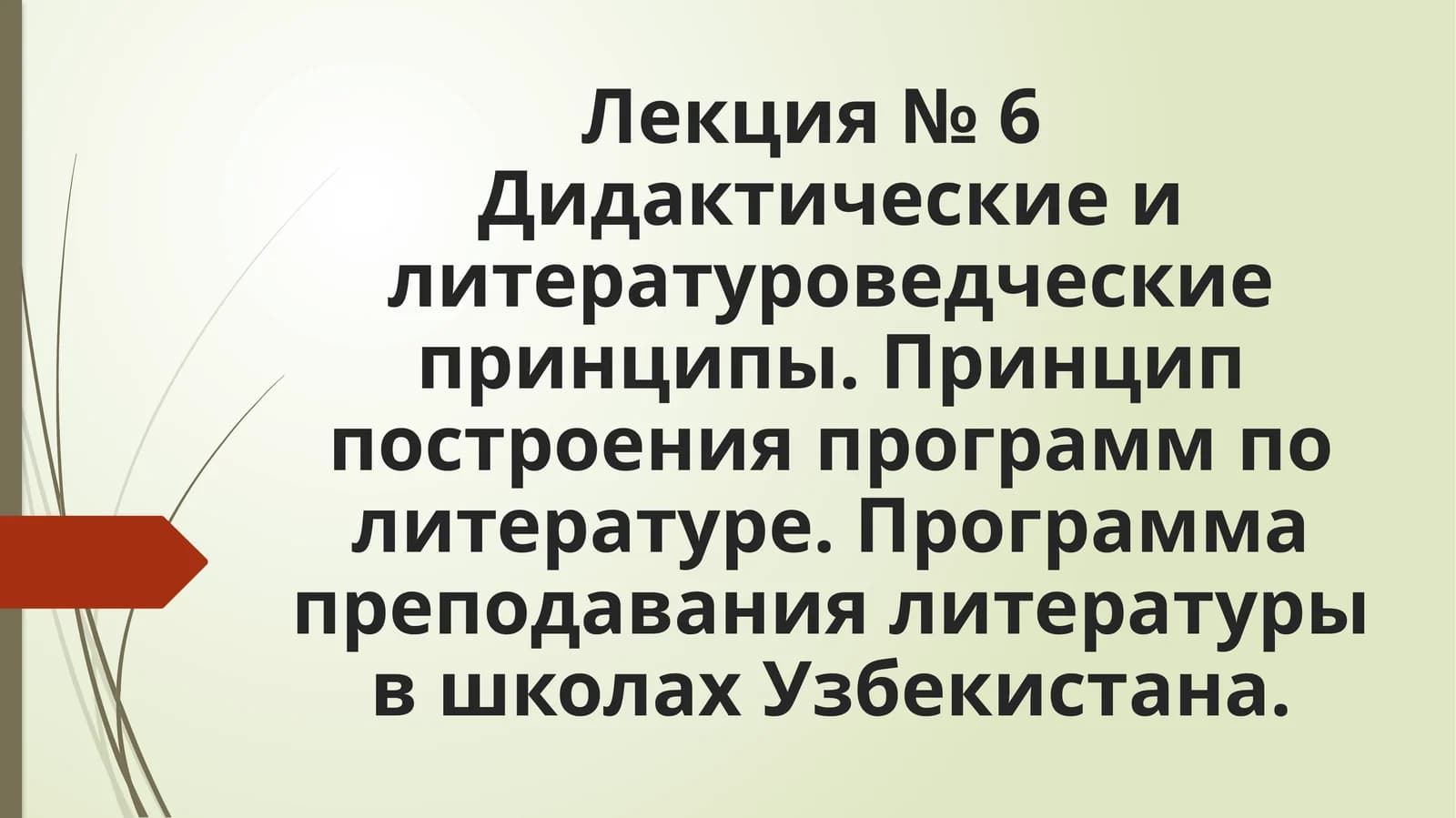 Программа преподавания литературы в школах Узбекистана