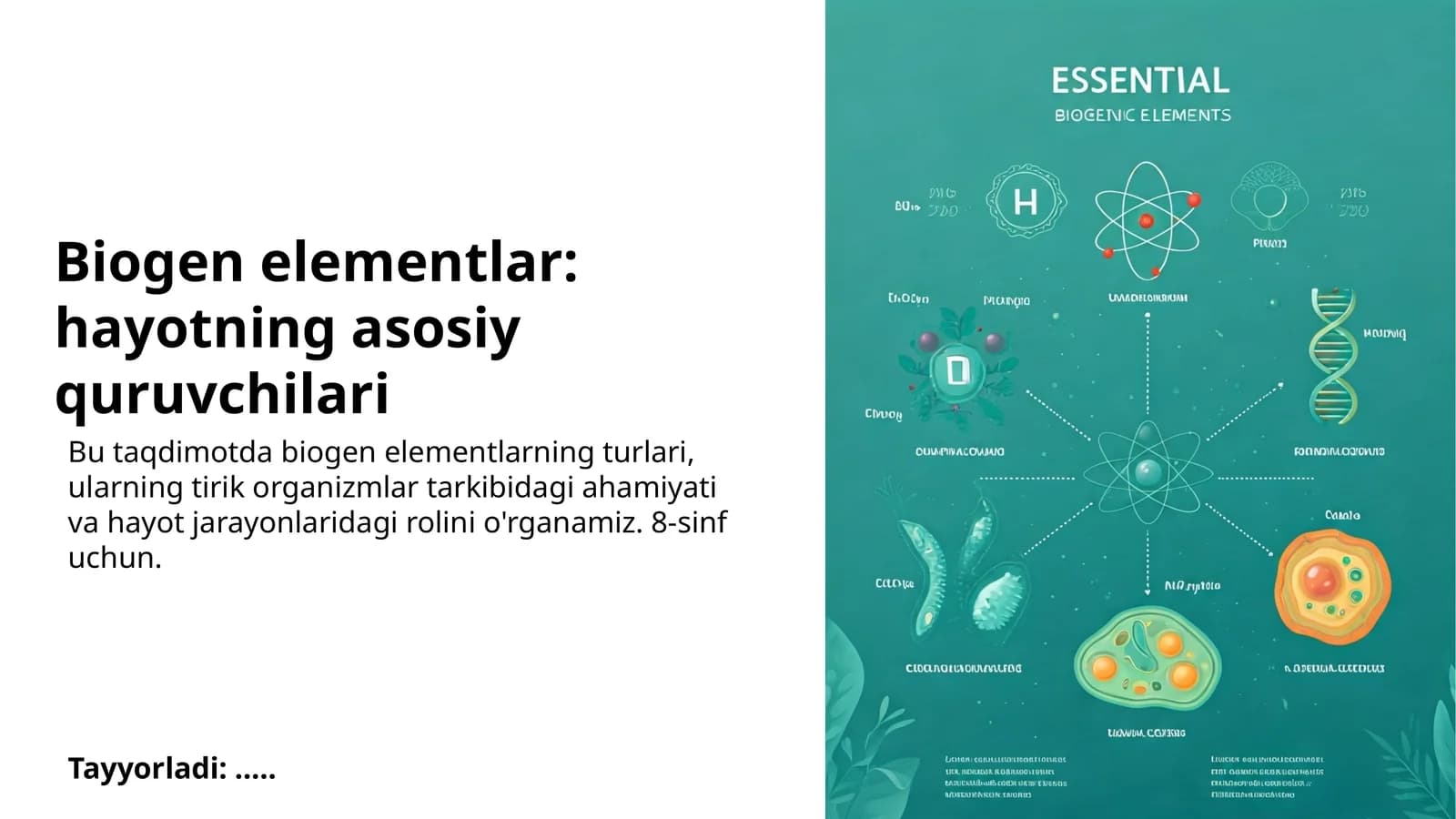 Biogen elementlar: hayotning asosiy quruvchilari