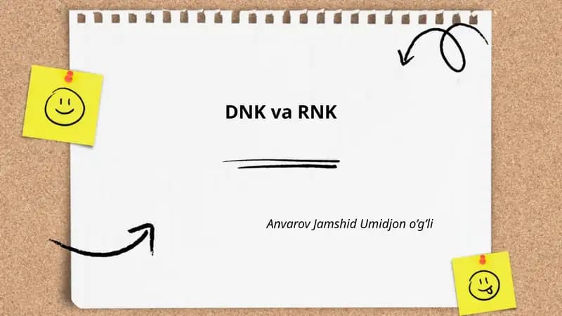 DNK va RNK