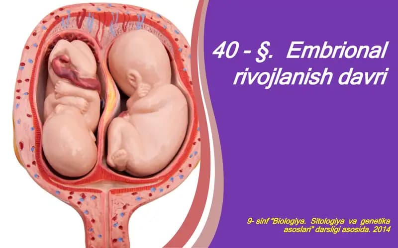 Embrional rivojlanish davri