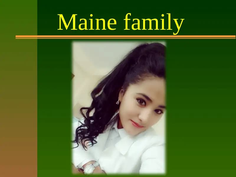 Maine family