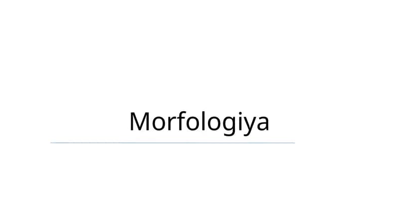Morfologiya