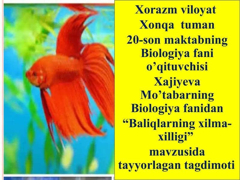 "Baliqlarning xilma-xilligi"