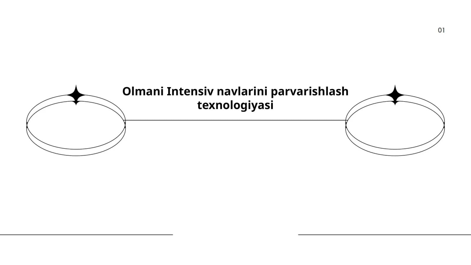 Olmani Intensiv navlarini parvarishlash texnologiyasi