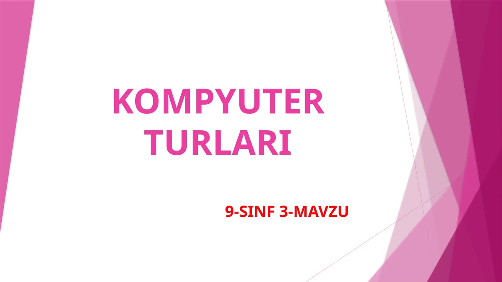 KOMPYUTER TURLARI