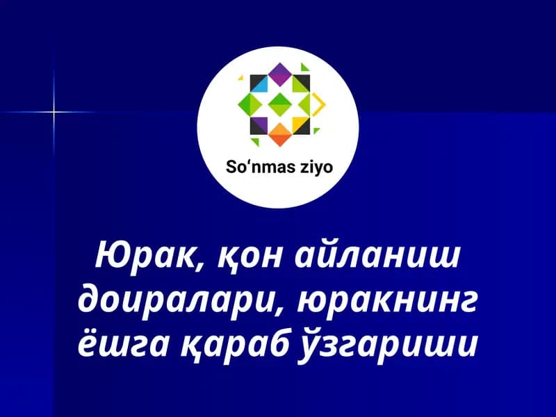 Юрак, қон айланиш доиралари, юракнинг ёшга қараб ўзгариши