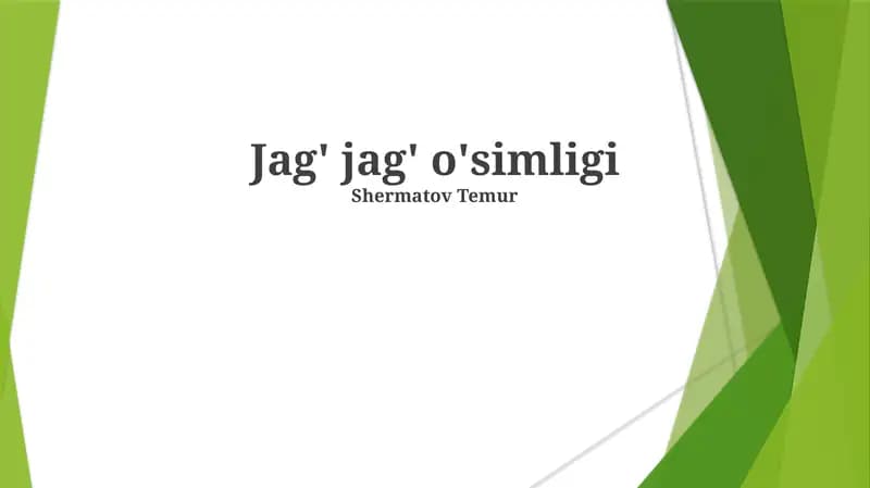 Jag' jag' o'simligi