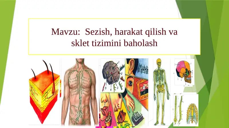Sezish, harakat qilish va sklet tizimini baholash