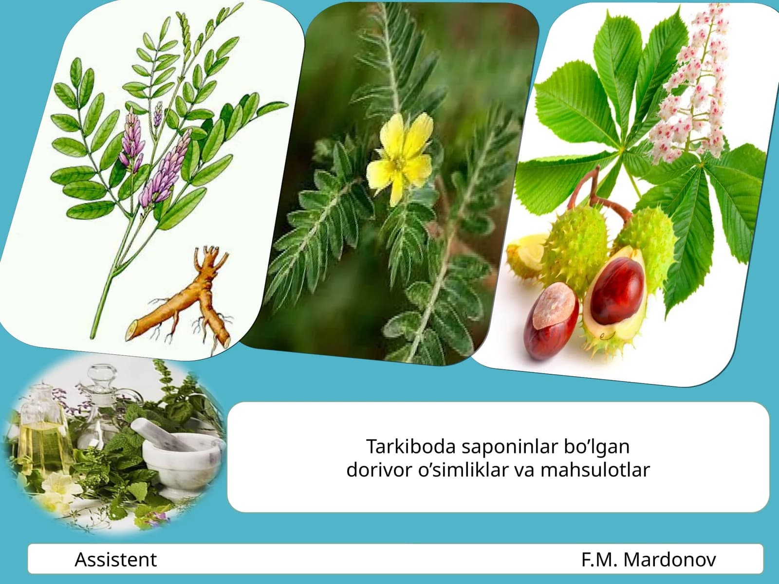 Saponinlar haqida