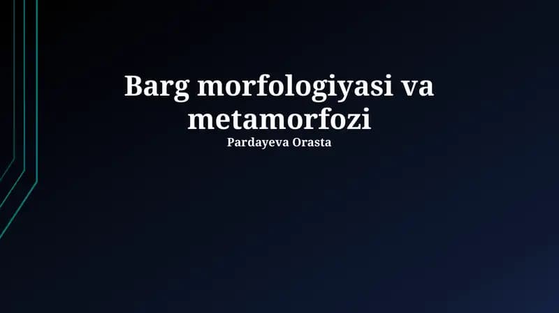 Barg morfologiyasi va metamorfozi