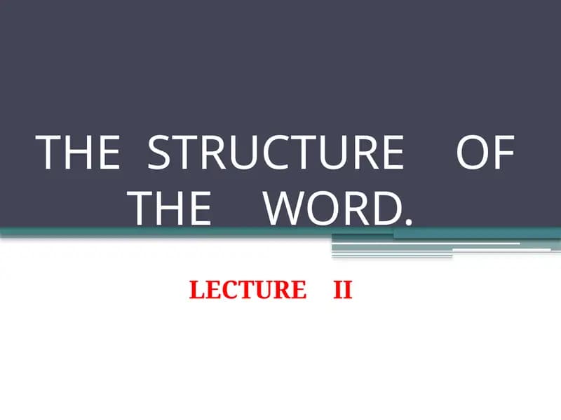 THE STRUCTURE OF THE WORD