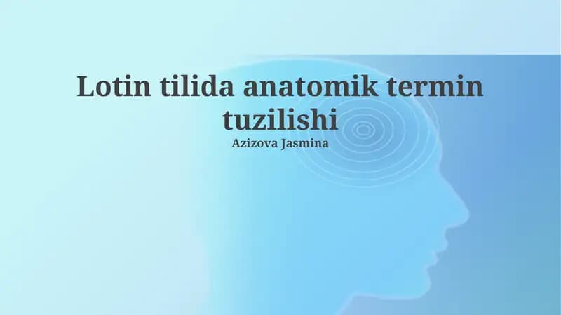 Lotin tilida anatomik termin tuzilishi