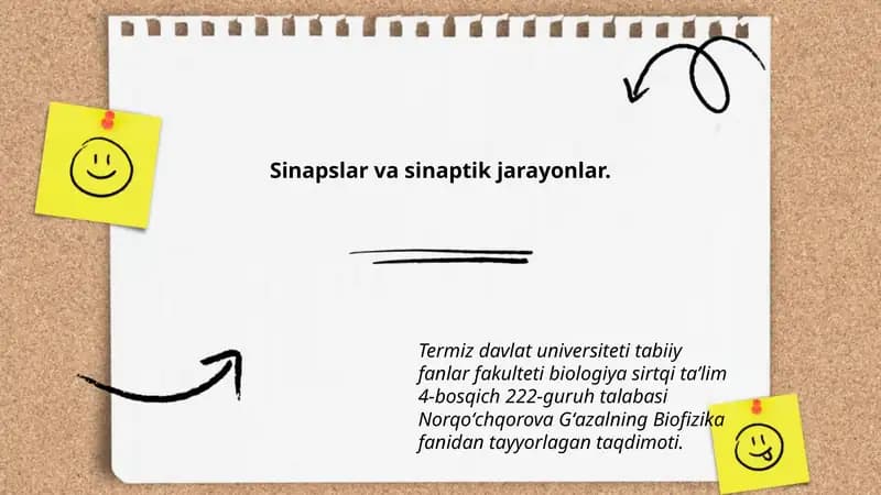 Sinapslar va sinaptik jarayonlar