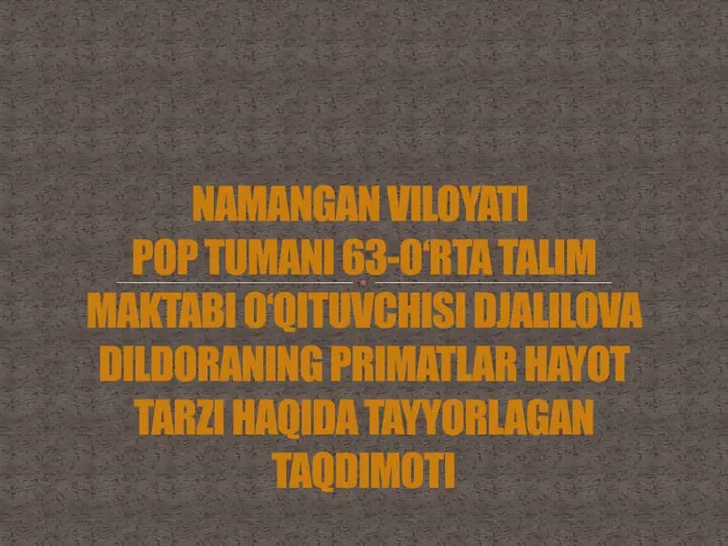 Primatlar hayot tarzi taqdimoti