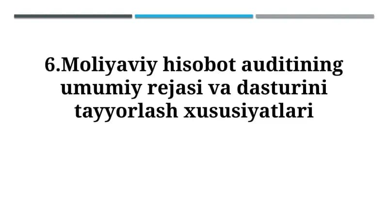 Moliyaviy hisobot auditining umumiy rejasi va dasturinitayyorlashxususiyatlari