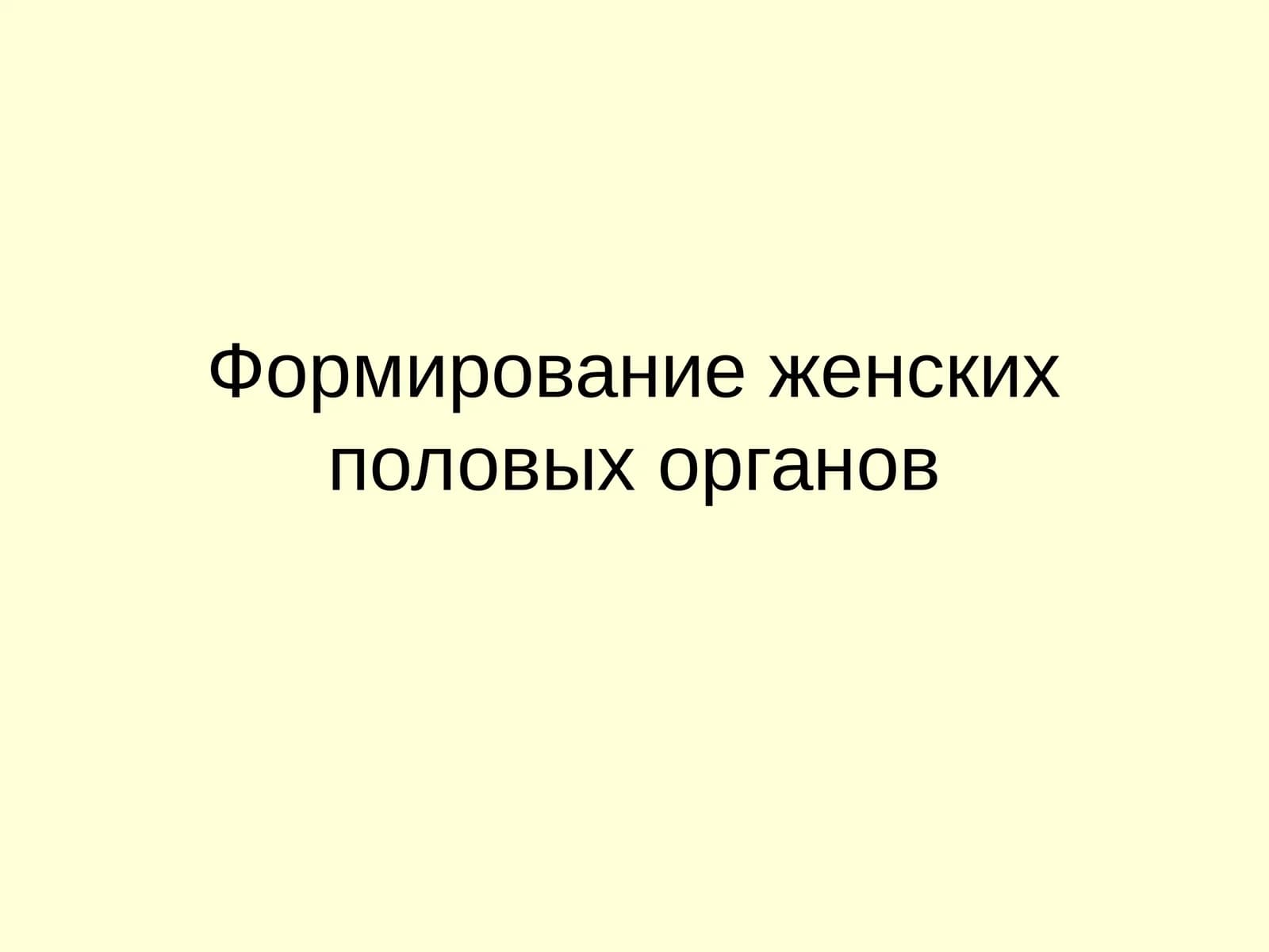 Формирование женских половых органов