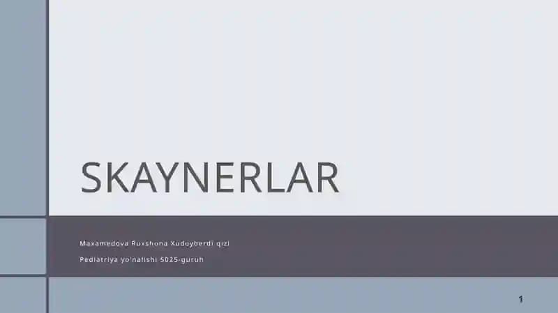 Skaynerlar