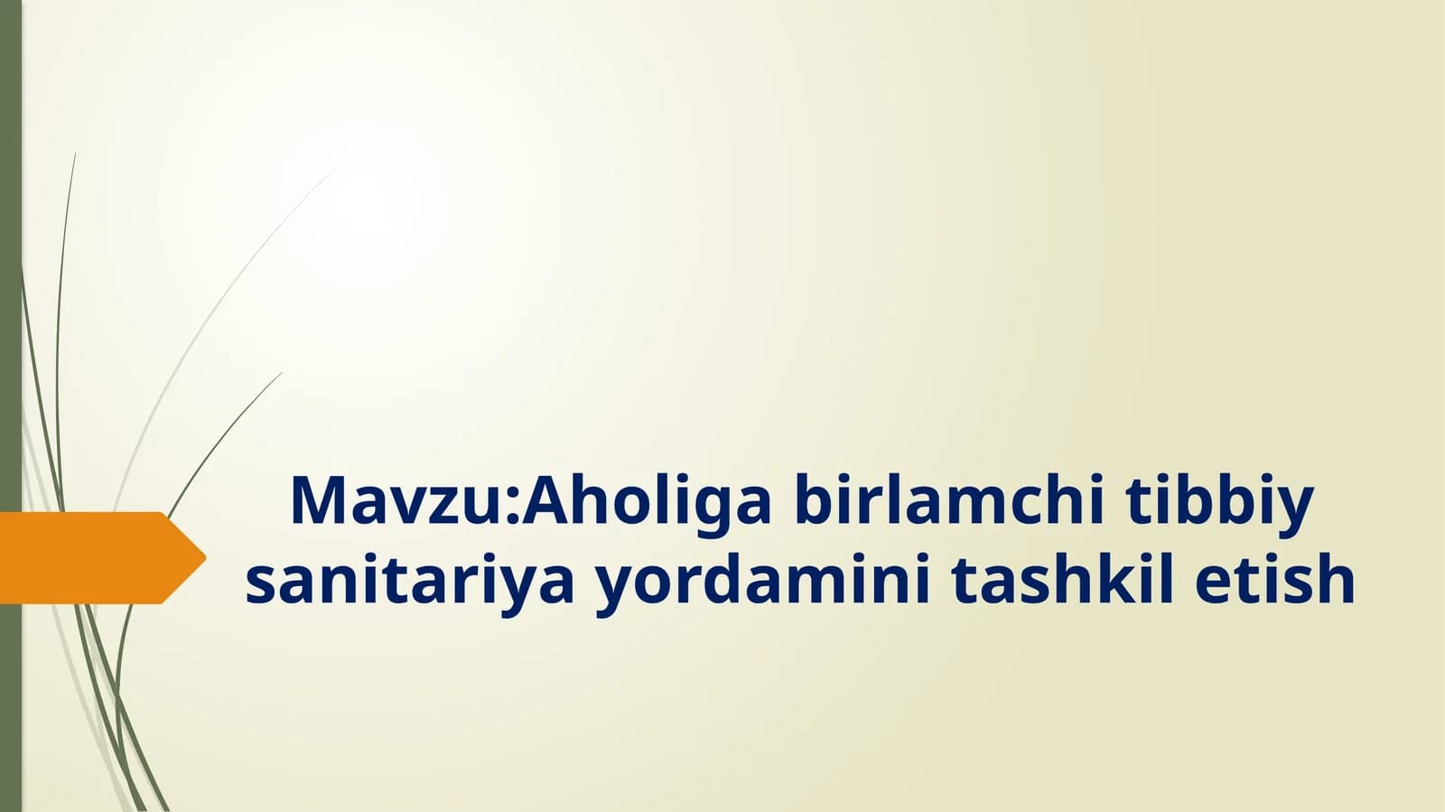 Aholigabirlamchitibbiysanitariyayordaminitashkiletish