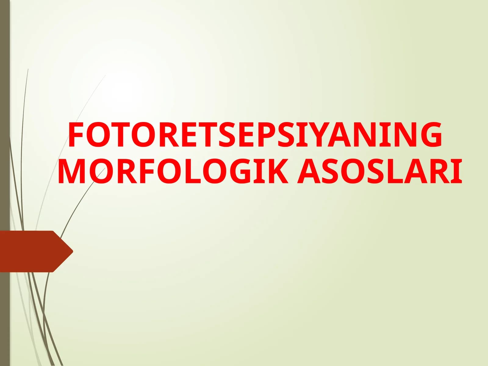 FOTORETSEPSIYANING MORFOLOGIK ASOSLARI