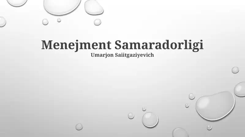 Menejment Samaradorligi