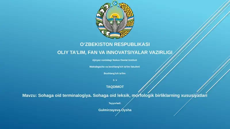 Sohaviy Terminologiya Asoslari