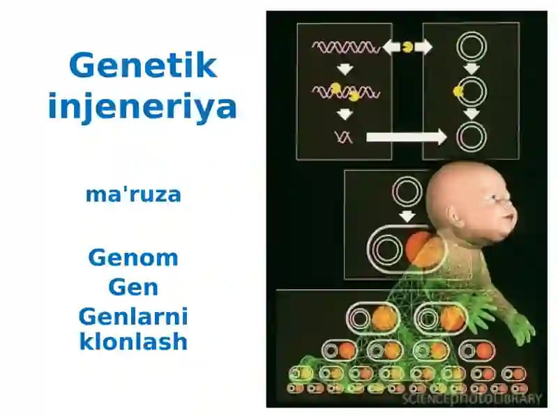 Genetik Injeneriya