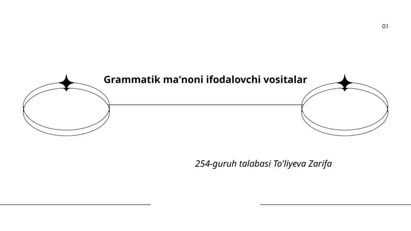 Grammatik ma'noni ifodalovchi vositalar
