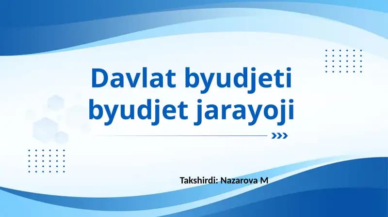 Davlat byudjeti jarayoni