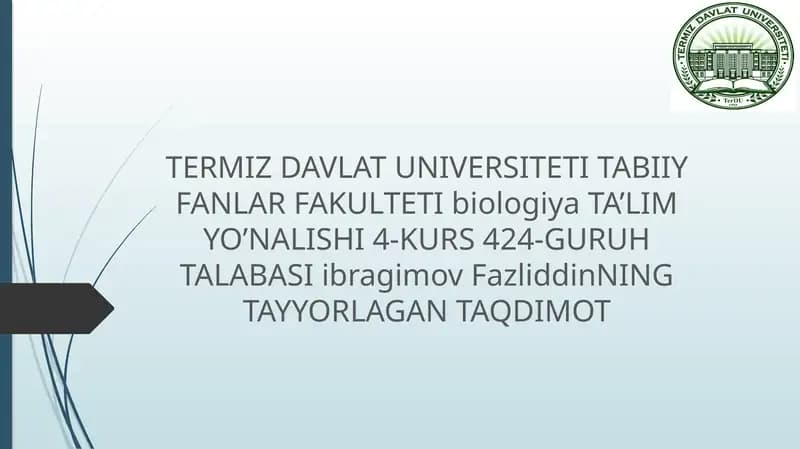 Salplar va appendikulyariyalar sinfi