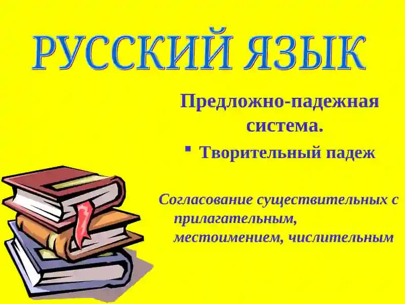 Предложно-падежная система