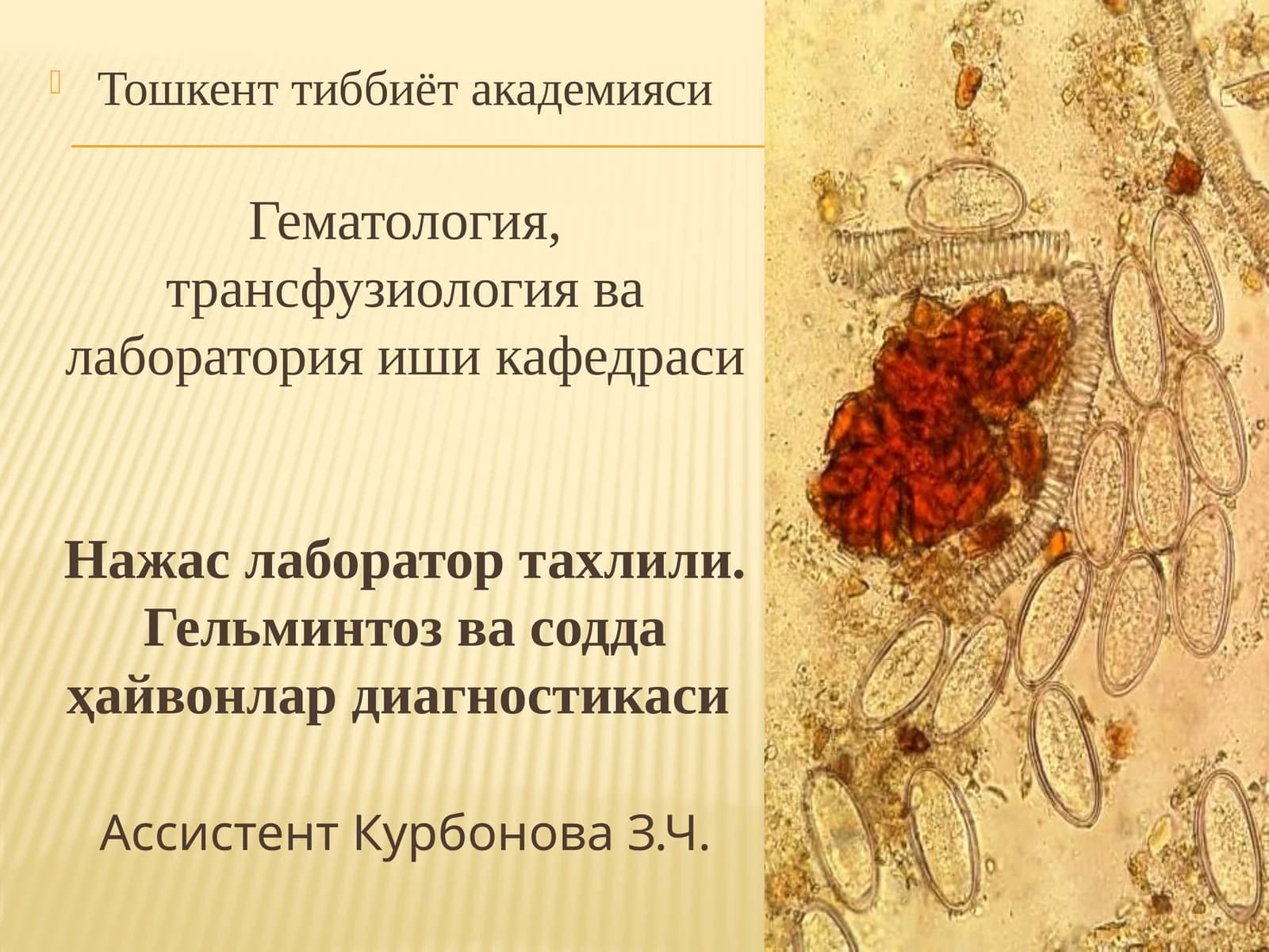 Ассистент қаригова