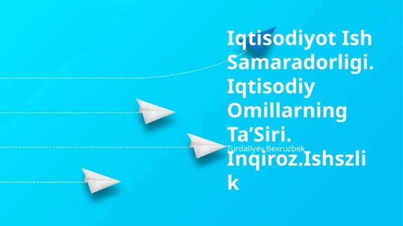 Iqtisodiy samaradorlik va mahsuldorlik