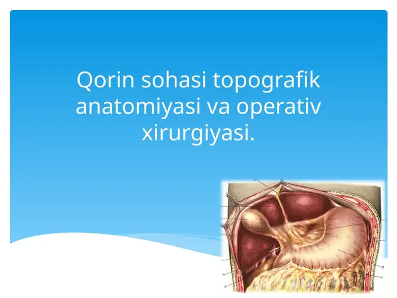 Qorin sohasi topografik anatomiyasi va operativ xirurgiyasi