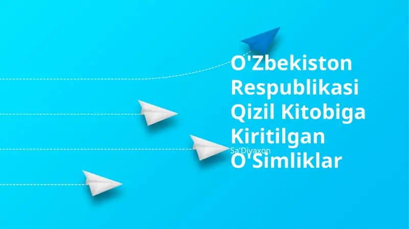 O'simliklar