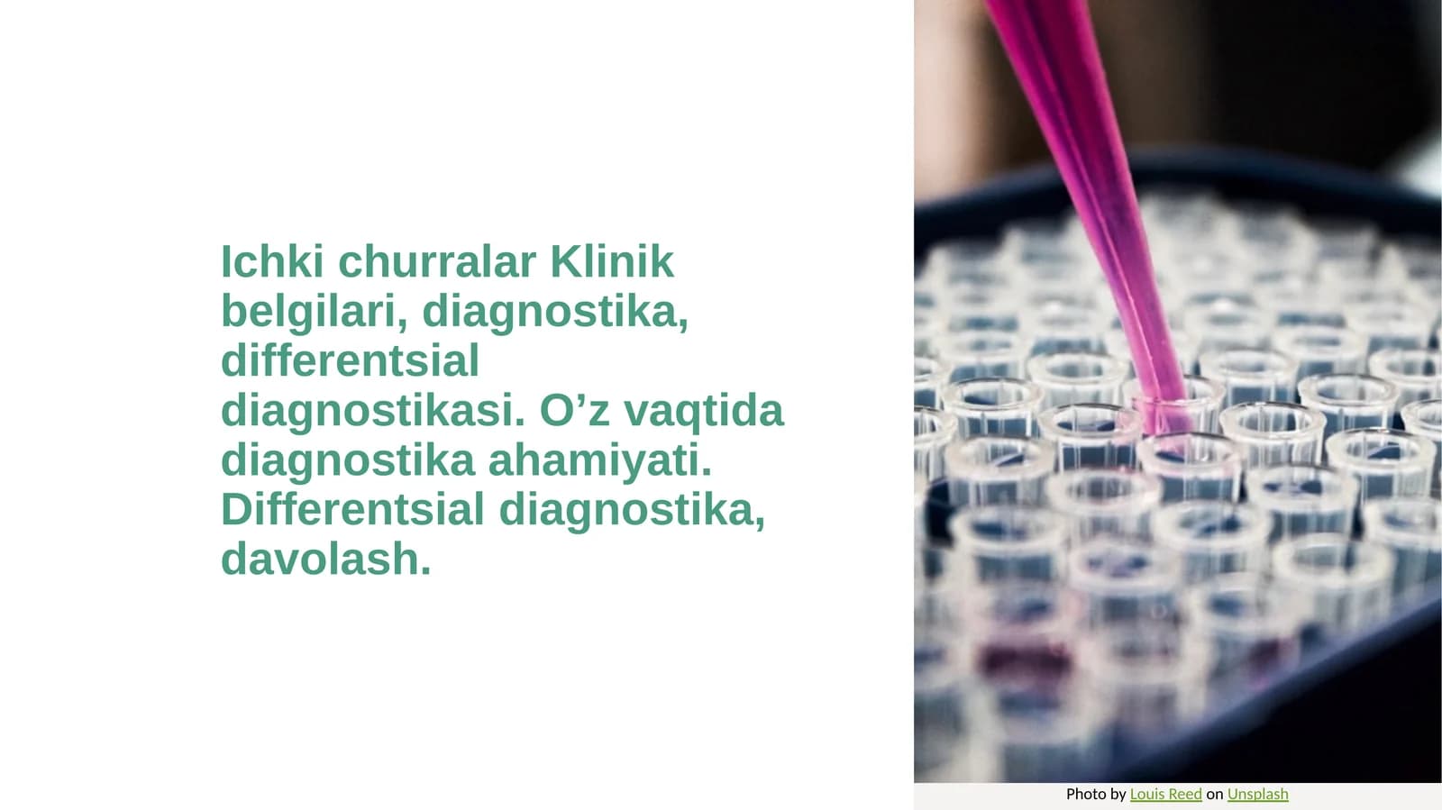 ichki churralar