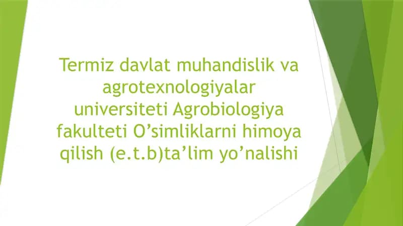 Uzumning antraknoz kasalligi.