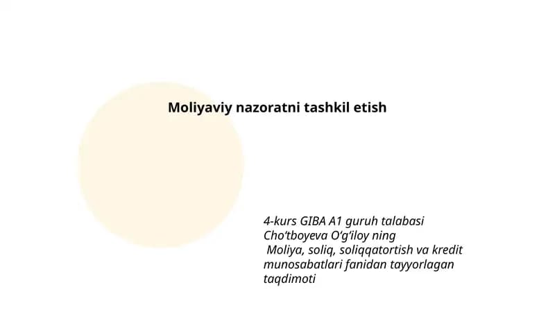 Moliyaviy nazoratni tashkil etish