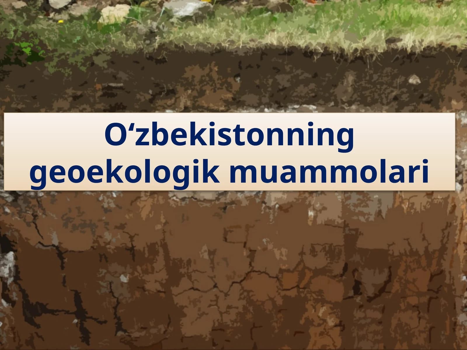 O‘zbekistonning geoekologik muammolari