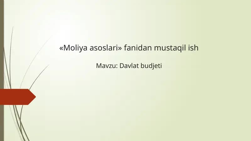 Davlat budjeti mavzusida mustaqil ish taqdimoti