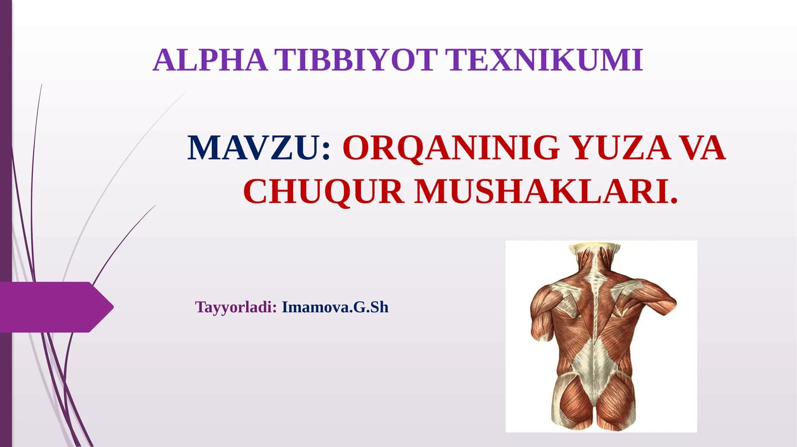ORQANINIG YUZA VA CHUQURMUSHАKLАRI