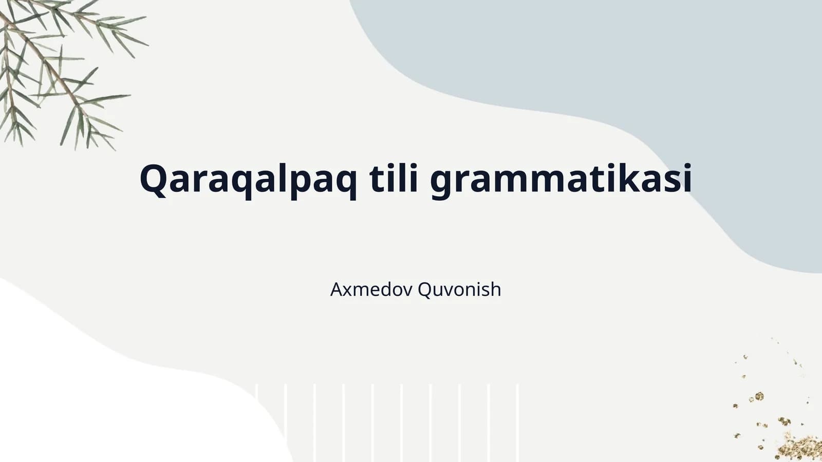 Qaraqalpaq tili grammatikasi