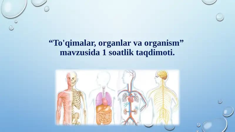 To'qimalar, organlar va organism