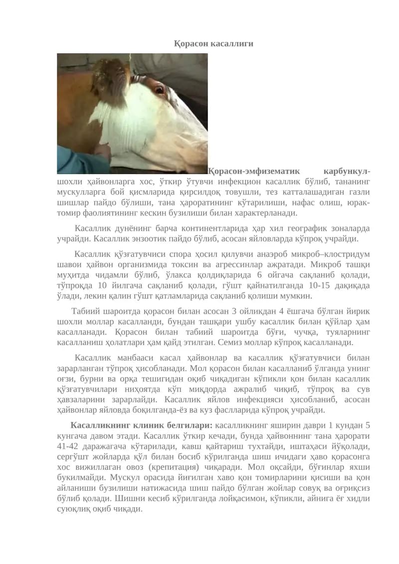 Қорасон касаллиги