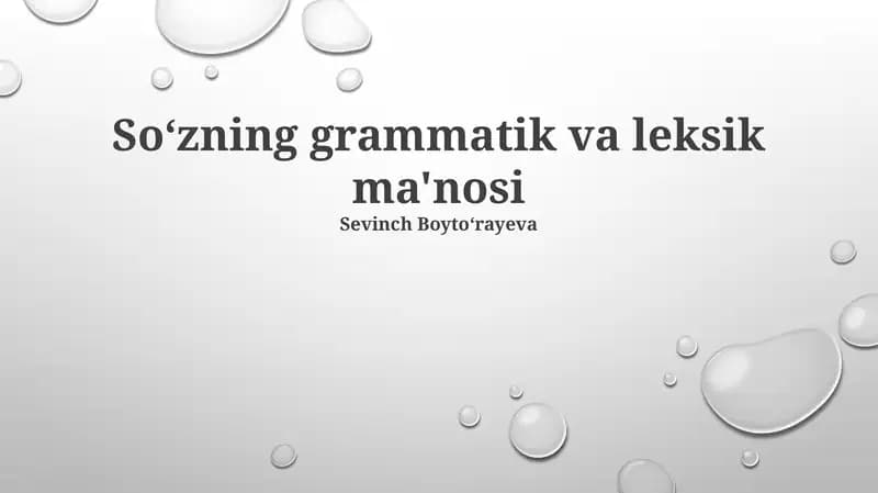 Soʻzning grammatik va leksik ma'nosi