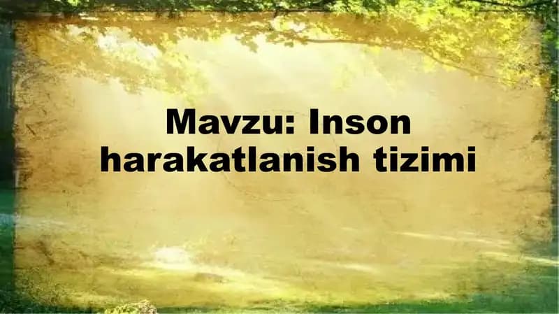 Inson harakatlanish tizimi