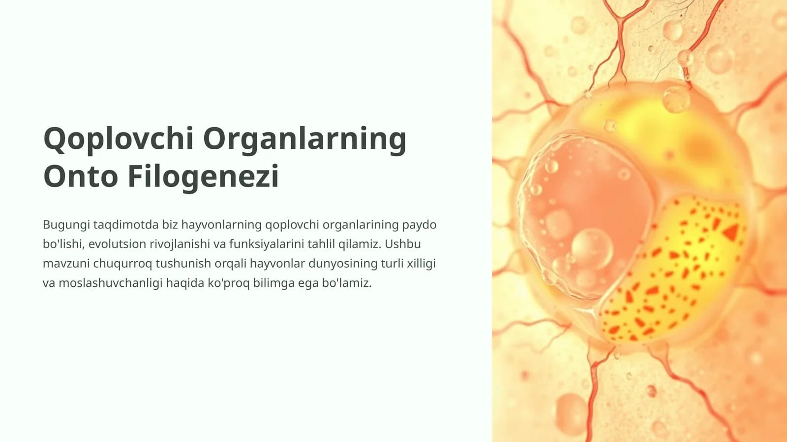 Qoplovchi Organlarning Onto Filogenezi