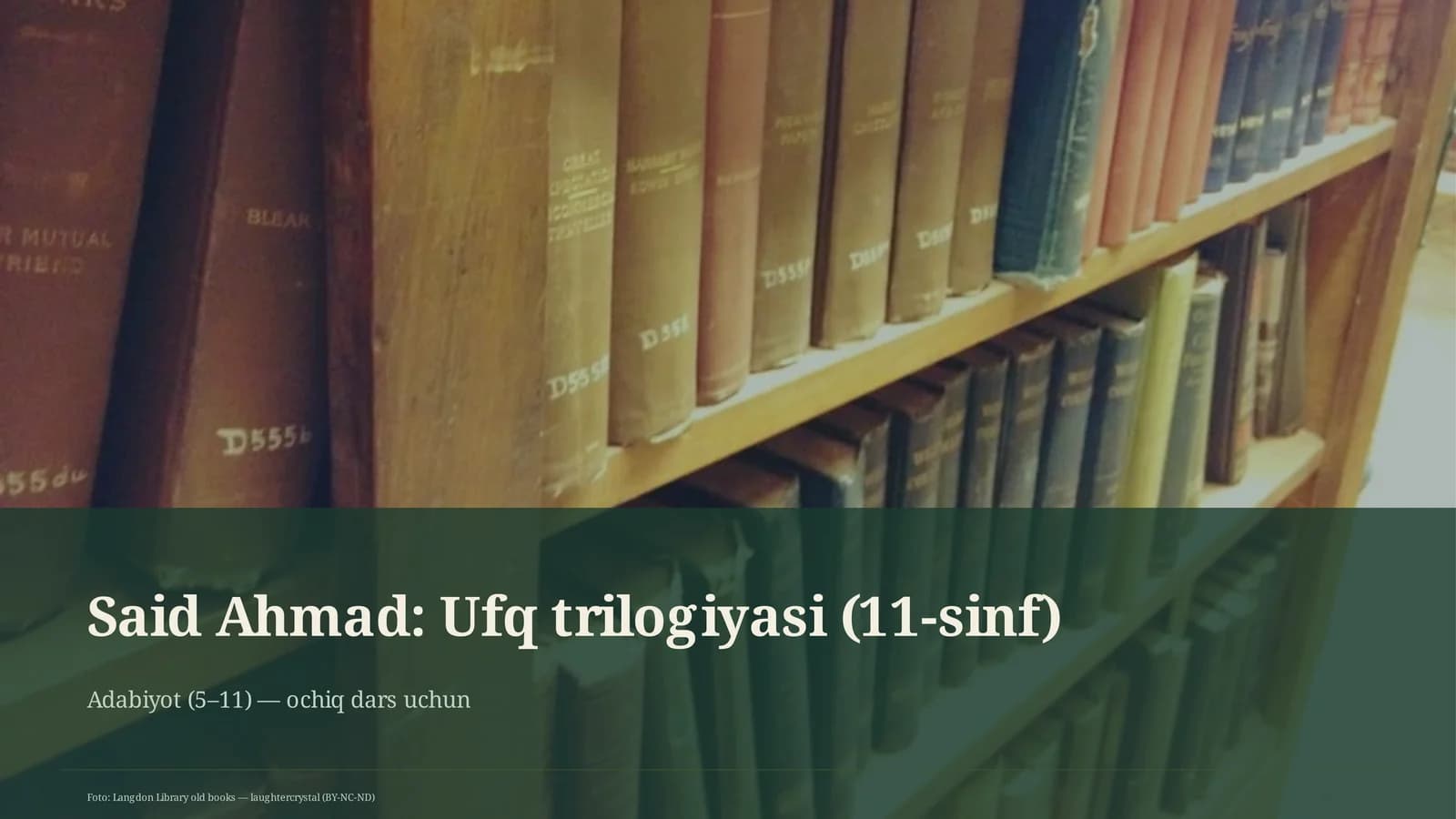 Ufq trilogiyasi (11-sinf)