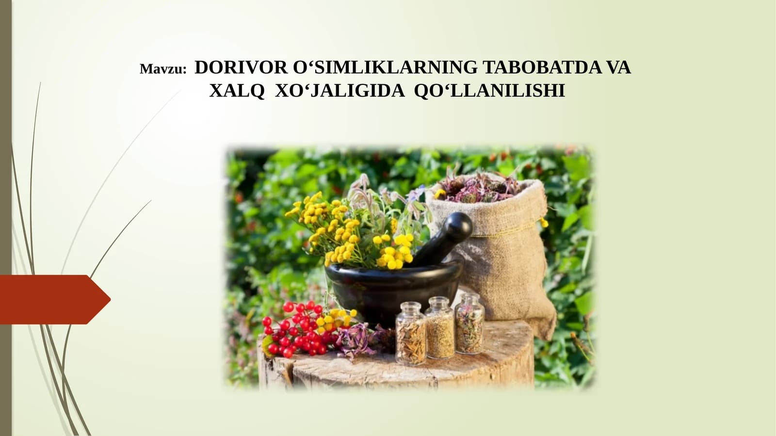 DORIVOR O‘SIMLIKLARNING TABOBATDA VA XALQ XO‘JALIGIDA QO‘LLANILISHI