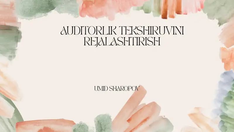 AUDITORLIK TEKSHIRUVINI REJALASHTIRISH