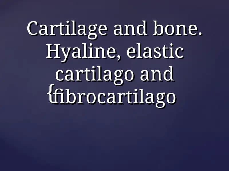 Types of Cartilage